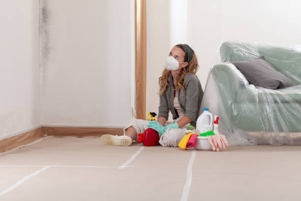 Reliable Mold Remediation contractor in Roseland, NJ by 24 Hour Mold Removal